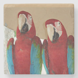 Scarlet Macaw-par Tropical Stentryck Illustration Stenunderlägg