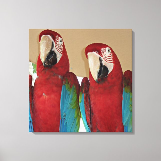 Scarlet Macaw Par Tropical Väggporträtt Canvastryck (Framsida)