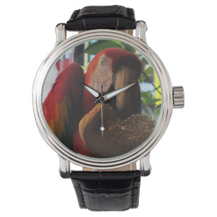 Scarlet Macaw Parrot Eating Toast Armbandsur