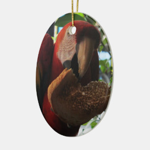 Scarlet Macaw Parrot Eating Toast Julgransprydnad Keramik