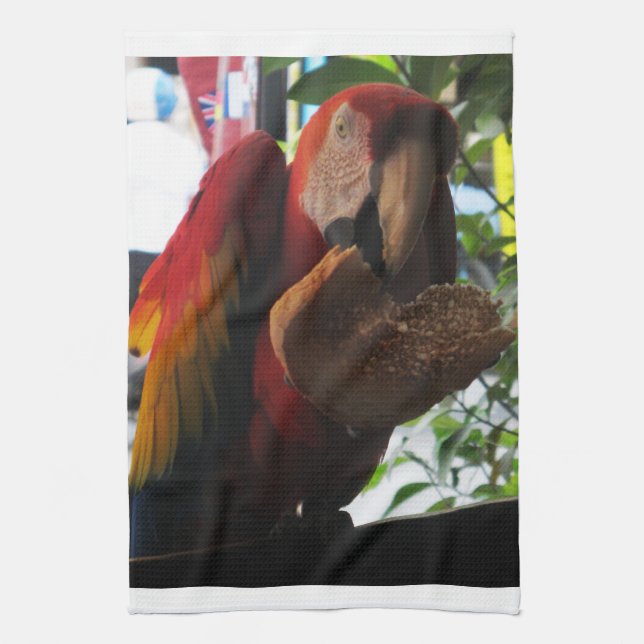 Scarlet Macaw Parrot Eating Toast Kökshandduk (Vertikal)