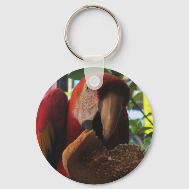 Scarlet Macaw Parrot Eating Toast Nyckelring (Framsida)