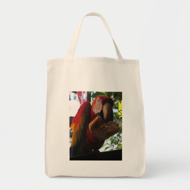Scarlet Macaw Parrot Eating Toast Tygkasse (Framsidan)
