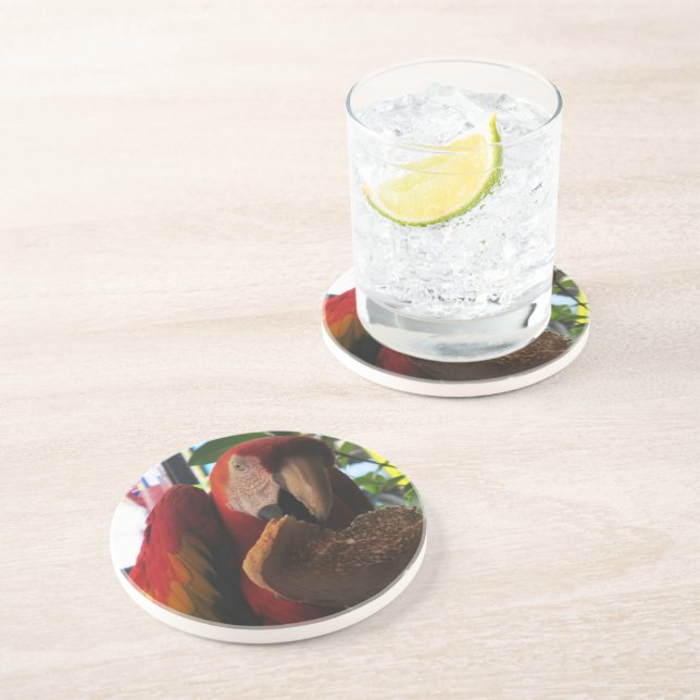 Scarlet Macaw Parrot Eating Toast Underlägg Sandsten (Sidan)