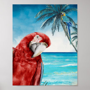 Scarlet Macaw Parrot Watercolor Tropical Poster