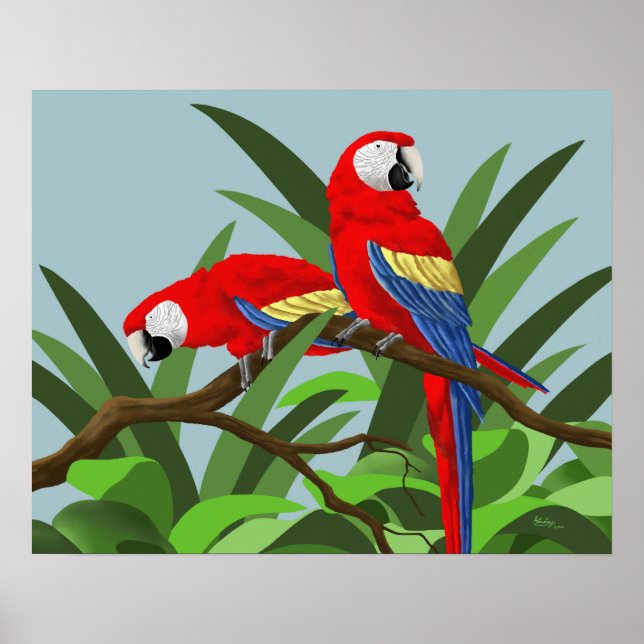 Scarlet Macaw Poster (Framsidan)