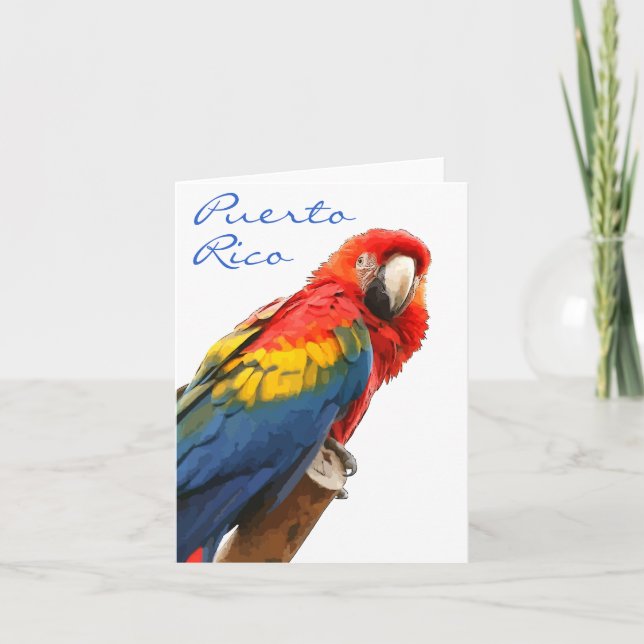 Scarlet Macaw Puerto Rico-anteckningskort Helgkort (Framsida)