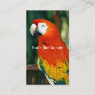 Scarlet Macaw Visitkort