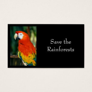 Scarlet Macaw Visitkort