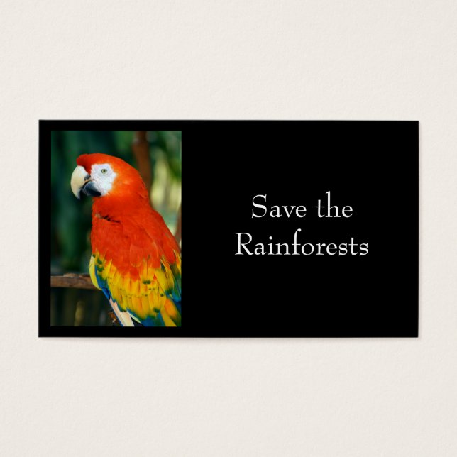 Scarlet Macaw Visitkort (Framsidan)