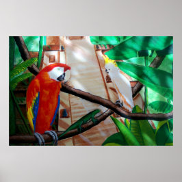 Scarlet Macaw White Parrot Amazon Jungle Poster