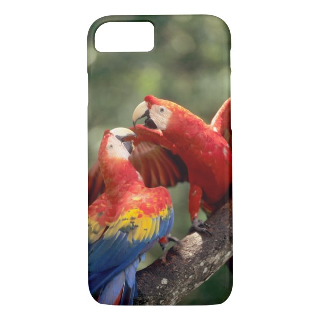 Scarlet Macaws par Case-Mate iPhone Skal (Baksida)