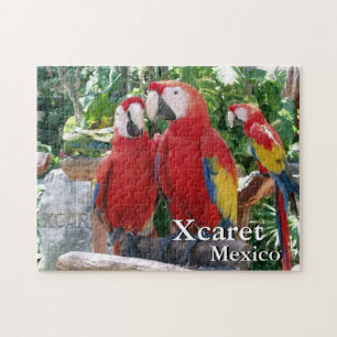 Scarlet Macaws Pussel