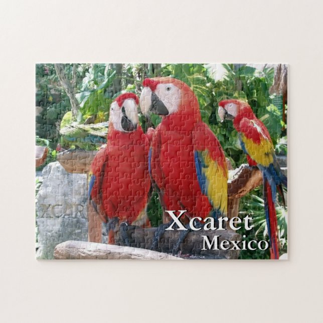 Scarlet Macaws Pussel (Horisontell)