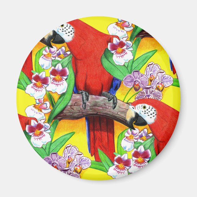 Scarlet McCaw Magnet (Framsidan)