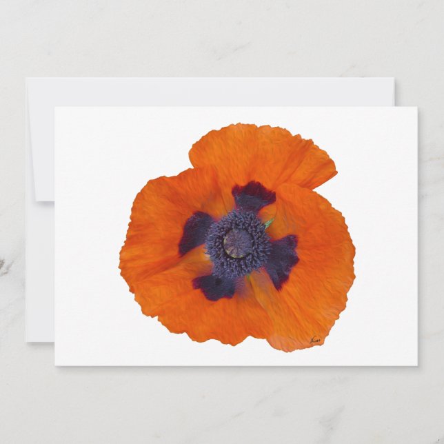 Scarlet Orange-diskett 1 (Framsida)