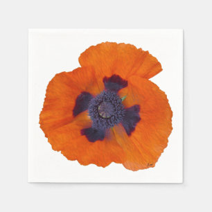Scarlet Orange-diskett 1 Pappersservett