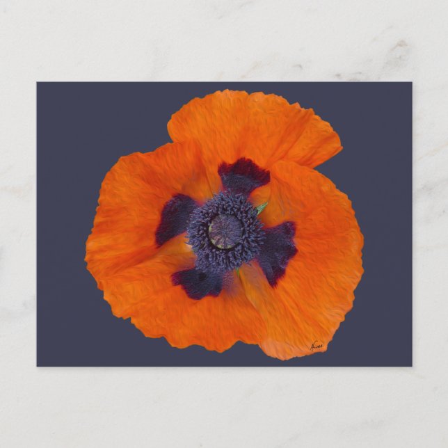 Scarlet Orange-diskett 1 Vykort (Framsida)