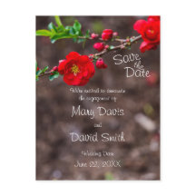 Scarlet överst Bröllop