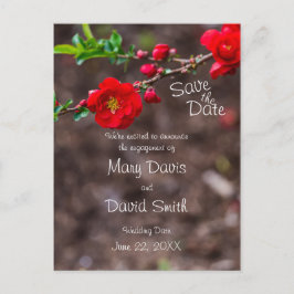 Scarlet överst Bröllop Vykort