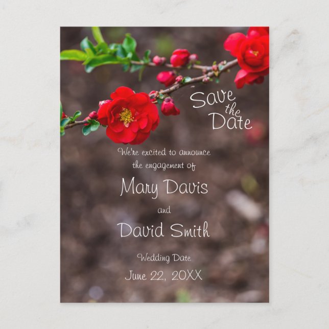 Scarlet överst Bröllop Vykort (Framsida)