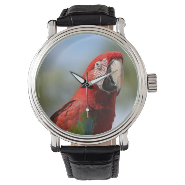 Scarlet Red Macaw Armbandsur (Framsida)