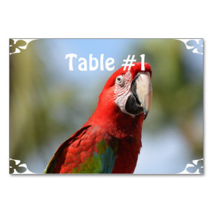 Scarlet Red Macaw Bordsnummer