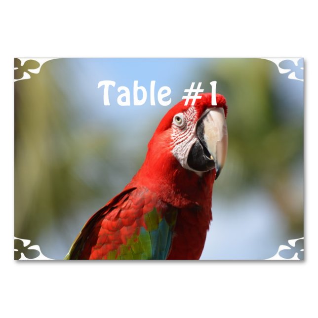 Scarlet Red Macaw Bordsnummer (Framsidan)