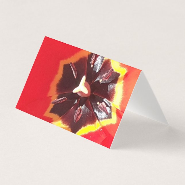 Scarlet Red Tulip Card Kort (Framsida)