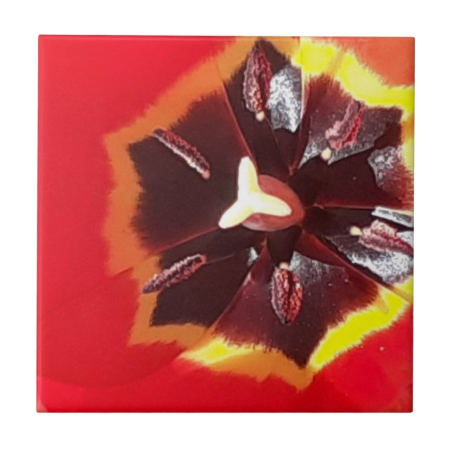 Scarlet Red Tulip Ceramic Tile Kakelplatta (Framsidan)