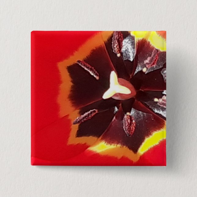 Scarlet Red Tulip Knapp (Framsida)