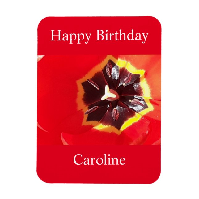 Scarlet Red Tulip Magnet (Vertikal)