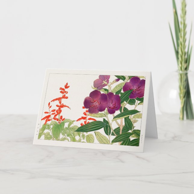 Scarlet sage, Melastoma av Tanigami Konan Kort (Framsida)