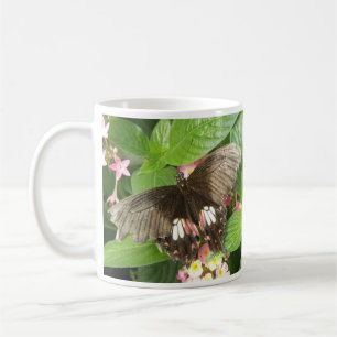 Scarlet Swallowtail Butterfly Makro Mugg