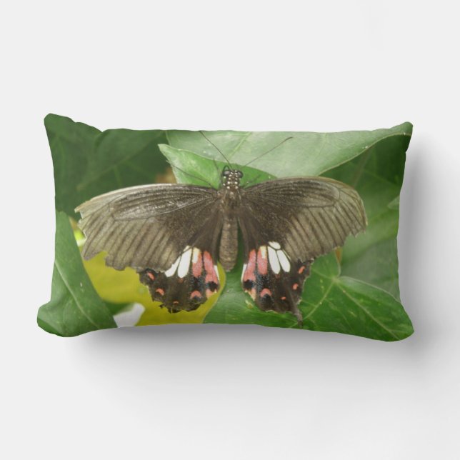 Scarlet Swallowtail Butterfly Pillow Lumbarkudde (Framsida)