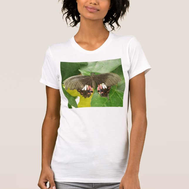 Scarlet Swallowtail Butterfly T Shirt (Framsida)