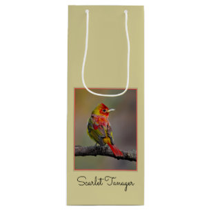 Scarlet Tanager-formning - originalfoto