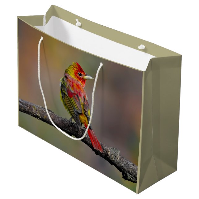 Scarlet Tanager-formning - originalfoto (Framsidan Vinklad)