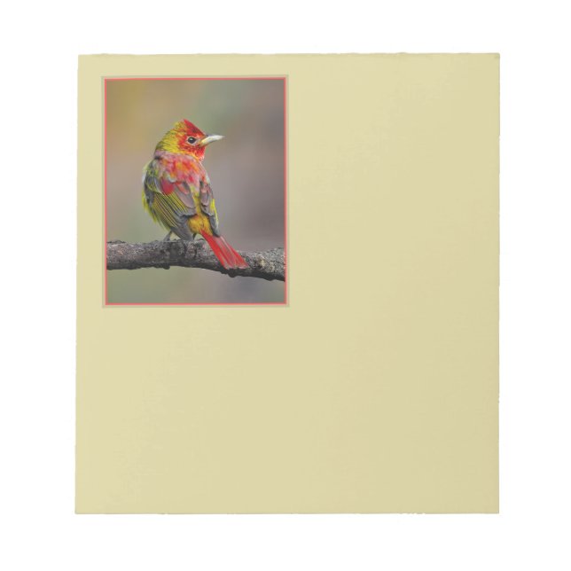 Scarlet Tanager-formning - originalfoto Anteckningsblock (Framsida)