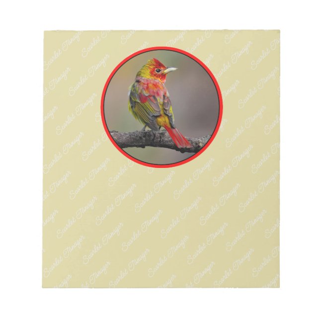 Scarlet Tanager-formning - originalfoto Anteckningsblock (Framsida)