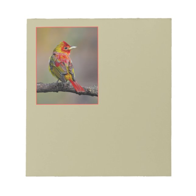 Scarlet Tanager-formning - originalfoto Anteckningsblock (Framsida)