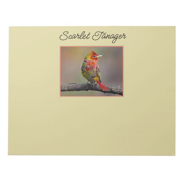 Scarlet Tanager-formning - originalfoto Anteckningsblock (Framsida)