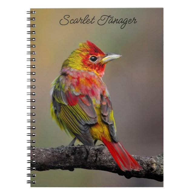 Scarlet Tanager-formning - originalfoto Anteckningsbok (Framsidan)