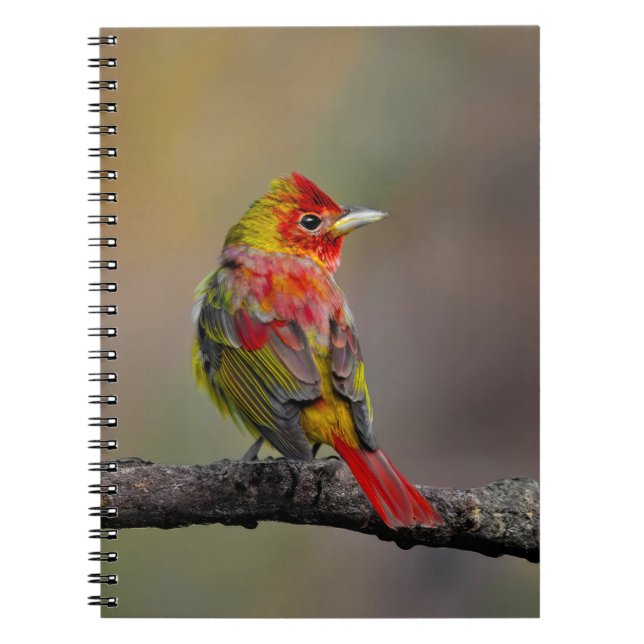 Scarlet Tanager-formning - originalfoto Anteckningsbok (Framsidan)
