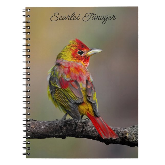 Scarlet Tanager-formning - originalfoto Anteckningsbok (Framsidan)