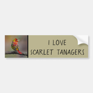 Scarlet Tanager-formning - originalfoto Bildekal