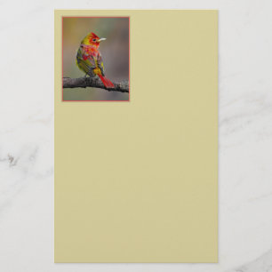 Scarlet Tanager-formning - originalfoto Brevpapper