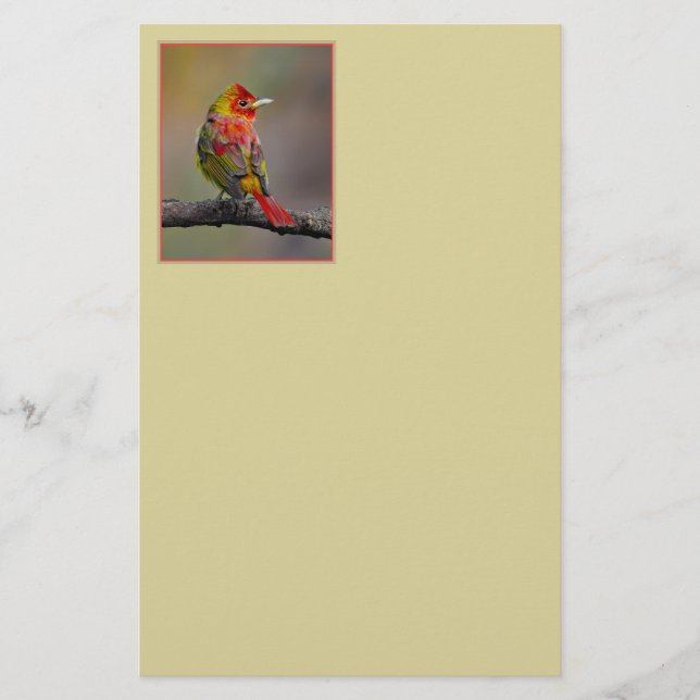 Scarlet Tanager-formning - originalfoto Brevpapper (Framsida)