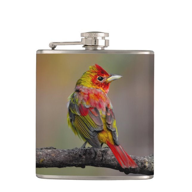 Scarlet Tanager-formning - originalfoto Fickplunta (Framsidan)