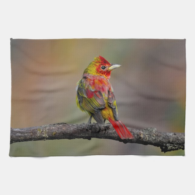 Scarlet Tanager-formning - originalfoto Kökshandduk (Horisontell)